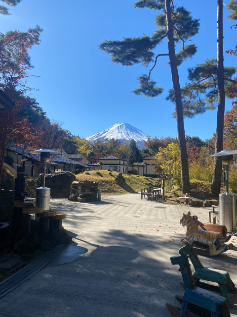 ハンズ山中湖グランピング
